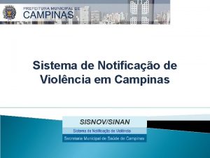 Sistema de Notificao de Violncia em Campinas SISNOVSINAN