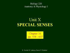 Biology 220 Anatomy Physiology I Unit X SPECIAL