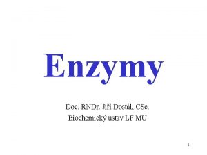 Enzymy Doc RNDr Ji Dostl CSc Biochemick stav
