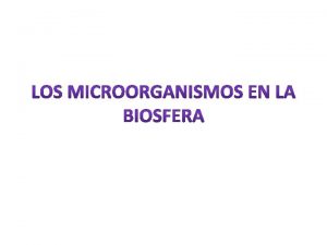 Importancia de los microorganismos 1 Viven en todos