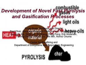 Development of Novel Fast Pyrolysis and Gasification Processes
