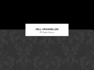 CELL ORGANELLES 8 th Grade Science ORGANELLES AND