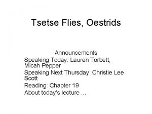 Tsetse Flies Oestrids Announcements Speaking Today Lauren Torbett
