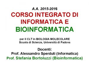 Seed traduzione informatica