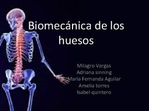 Biomecnica de los huesos Milagro Vargas Adriana sinning