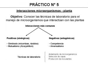 PRCTICO N 5 Interacciones microorganismos planta Objetivo Conocer