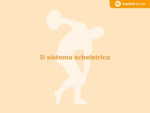 Marietti scuola sistema scheletrico Marietti scuola sistema scheletrico