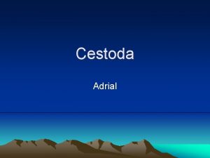 Cestoda Adrial CESTODA CIRICIRI UMUM Cacing dewasa hidup