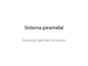 Sistema piramidal Sandoval Snchez Armando Funcin Va motora