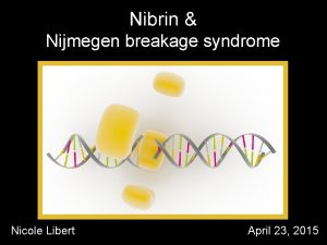 Nibrin Nijmegen breakage syndrome Nicole Libert April 23