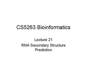 CS 5263 Bioinformatics Lecture 21 RNA Secondary Structure