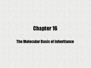 Chapter 16 The Molecular Basis of Inheritance Determining