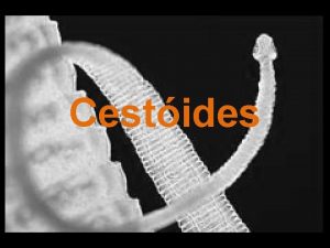 Cestides Posio sistemtica dos cestides Reino Animalia Subreino