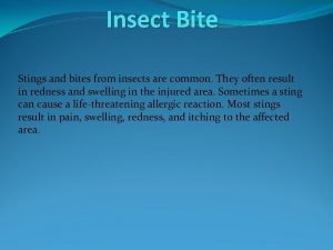 Insect Bite Stings and bites from insects are
