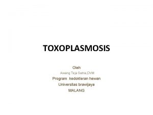 TOXOPLASMOSIS Oleh Awang Teja Satria DVM Program kedokteran