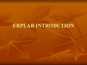 ERPLAB INTRODUTION ERPLAB introduction n n ERPLAB contains
