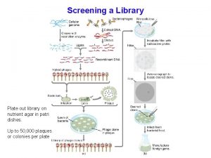 Chromosome walking