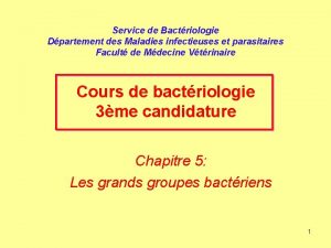 Service de Bactriologie Dpartement des Maladies infectieuses et