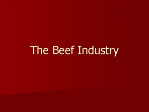 The Beef Industry Beef Products n What products