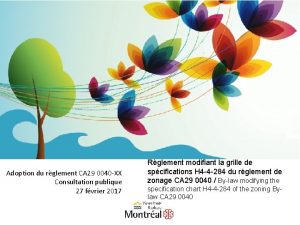 Adoption du rglement CA 29 0040 XX Consultation