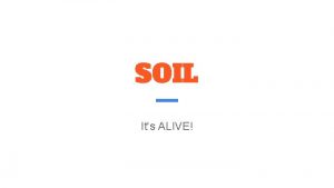 SOIL Its ALIVE What is soil Everyone share