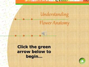 Anatomy of an arrow