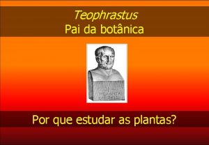 Teophrastus Pai da botnica Por que estudar as