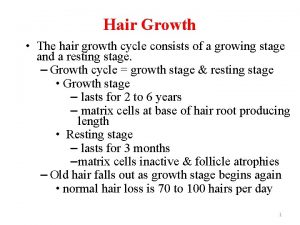 Hair Growth The hair growth cycle consists of