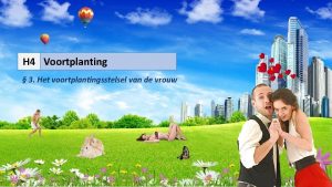 H 4 Voortplanting 3 Het voortplantingsstelsel van de