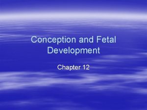 Conception and Fetal Development Chapter 12 Learning Objectives