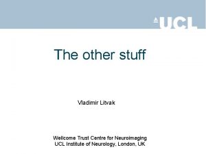 The other stuff Vladimir Litvak Wellcome Trust Centre