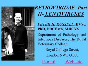 RETROVIRIDAE Part II LENTIVIRUSES PETER H RUSSELL BVSc