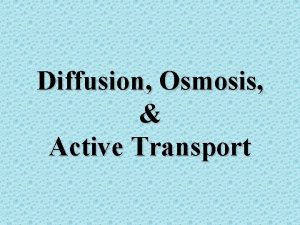 Diffusion Osmosis Active Transport What is the other