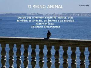 O REINO ANIMAL Desde que o homem existe