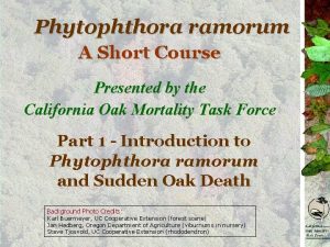 Phytophthora ramorum A Short Course Presented by the