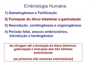 Embriologia Humana 1 Gametognese e Fertilizao 2 Formao