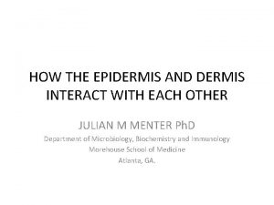 HOW THE EPIDERMIS AND DERMIS INTERACT WITH EACH