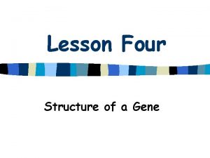 Lesson Four Structure of a Gene Gene Structure