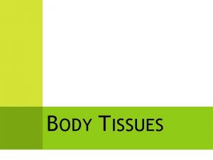 BODY TISSUES O VERVIEW Human body starts with