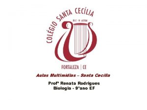 Aulas Multimdias Santa Ceclia Prof Renata Rodrigues Biologia