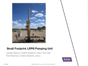 Executive Summary Small Footprint LRP Pumping Unit Jordan