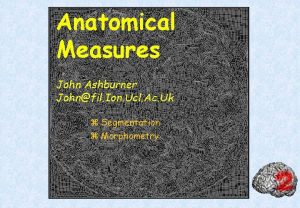 Anatomical Measures John Ashburner Johnfil Ion Ucl Ac