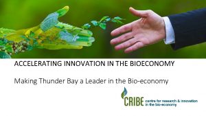 ACCELERATING INNOVATION IN THE BIOECONOMY Making Thunder Bay