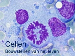 Cellen Bouwstenen van het leven Wat zijn cellen