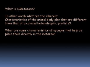 What is a metazoan