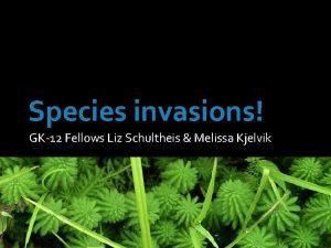 Species invasions GK12 Fellows Liz Schultheis Melissa Kjelvik