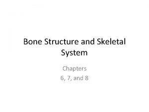 Bone Structure and Skeletal System Chapters 6 7