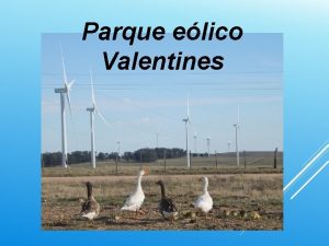 Parque elico Valentines EMPRESAS RESPONSABLES DEL PROYECTO EMPRESA