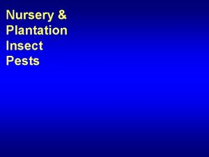 Nursery Plantation Insect Pests Reference Forest Nursery Pests