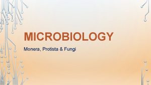 MICROBIOLOGY Monera Protista Fungi REVIEW 2 MICROBIOLOGY Microbiology
